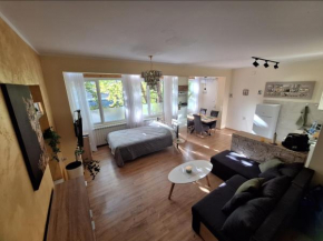 Hazelnut Apartment Novi Sad